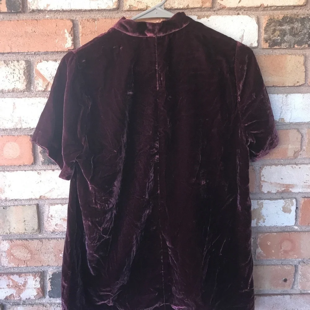 Madewell Choker Velvet Short Sleeve Top_10